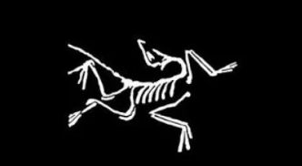 Arc'teryx Bird Decal (2 pack)