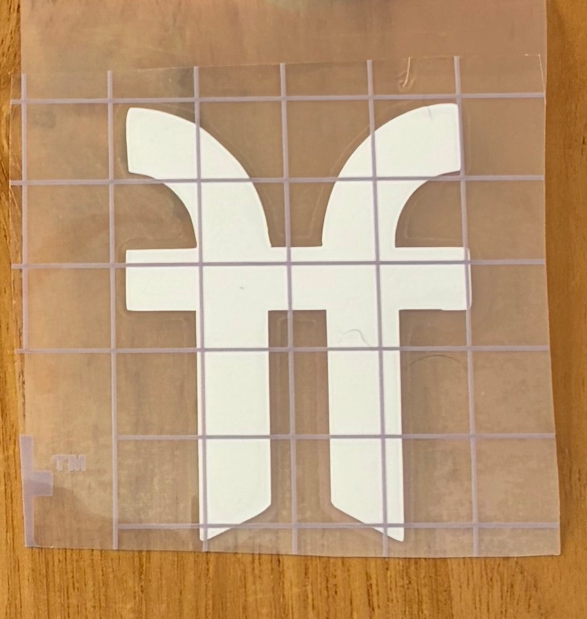 Faction Skis (2 Pack)